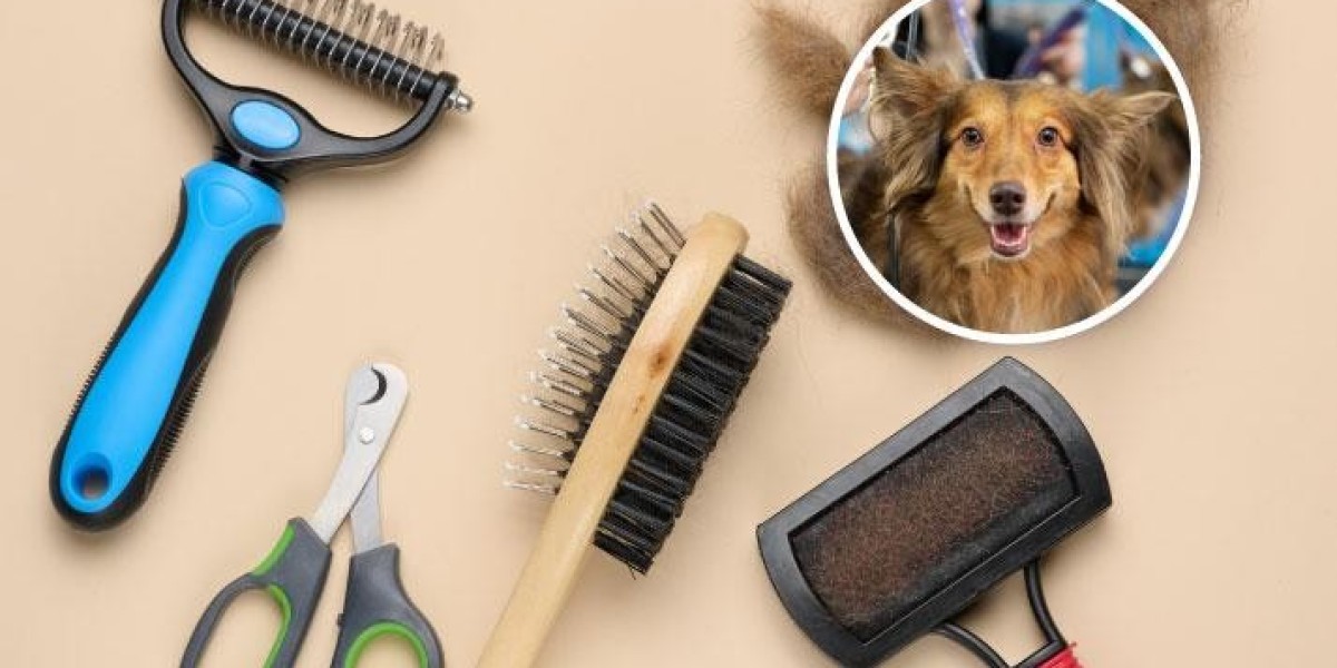Can Pawtechpet Pet Grooming Products Transform Daily Grooming?