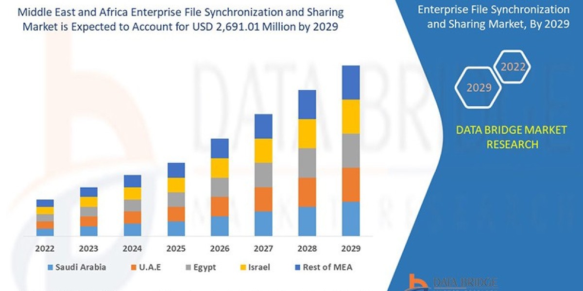 Middle East and Africa Enterprise File Synchronization and Sharing Market: Insights and Competitive Analysis 2025 –2032