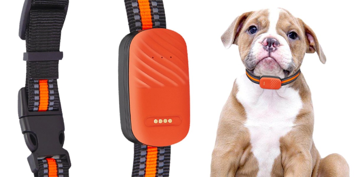 Can Pawtechpet Pet Tracker Prevent Lost Pets