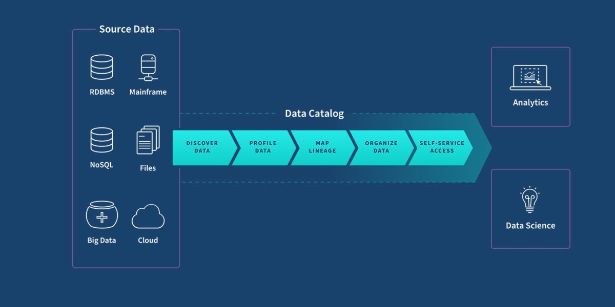 Exploring the Expanding Data Catalog Market Share Across Industries