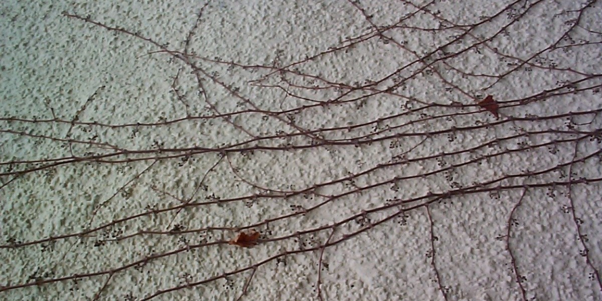 Online Pokies, Mobile Play & Fast AU$ Withdrawals