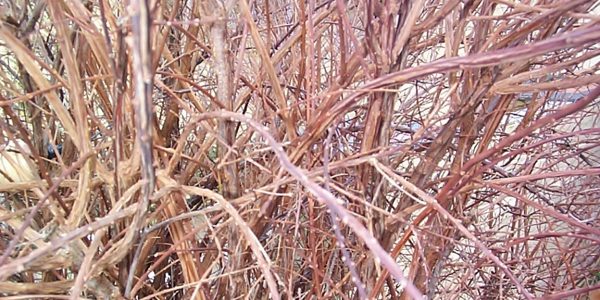 15 Best Online Casinos Australia 2025 Real Money Casino Sites