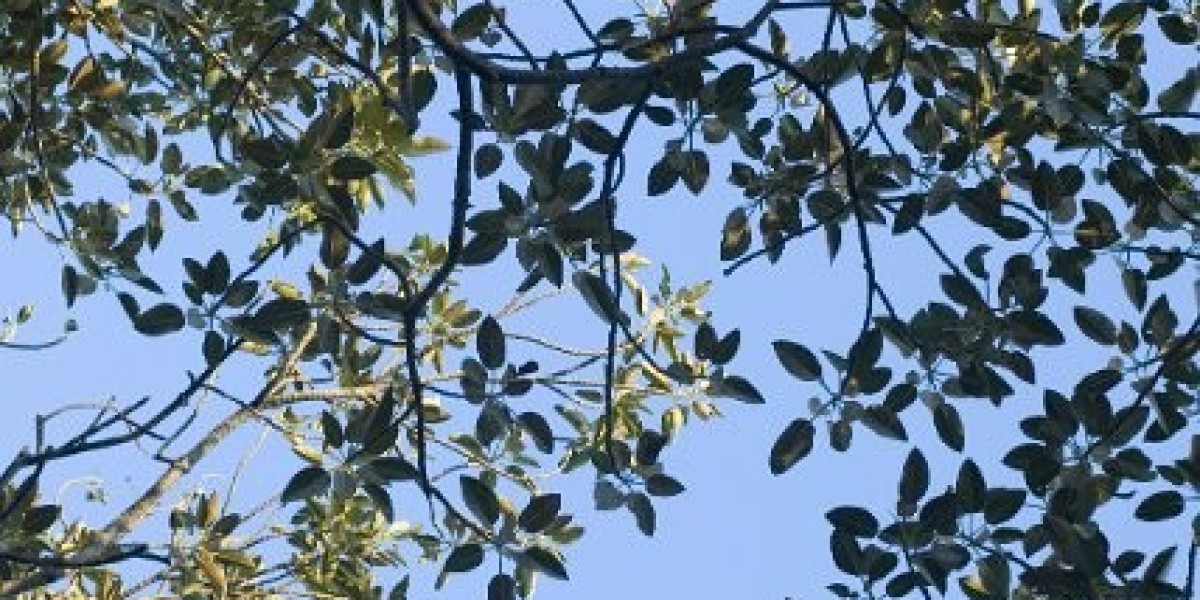 Gold Coast Hotel and Casino Las Vegas, Nevada, US