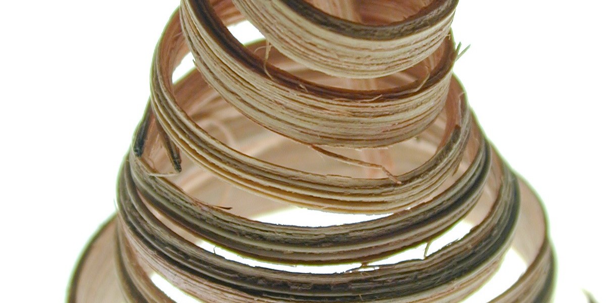 Illuminate Adelaide shines brighter than ever, delivering record ..