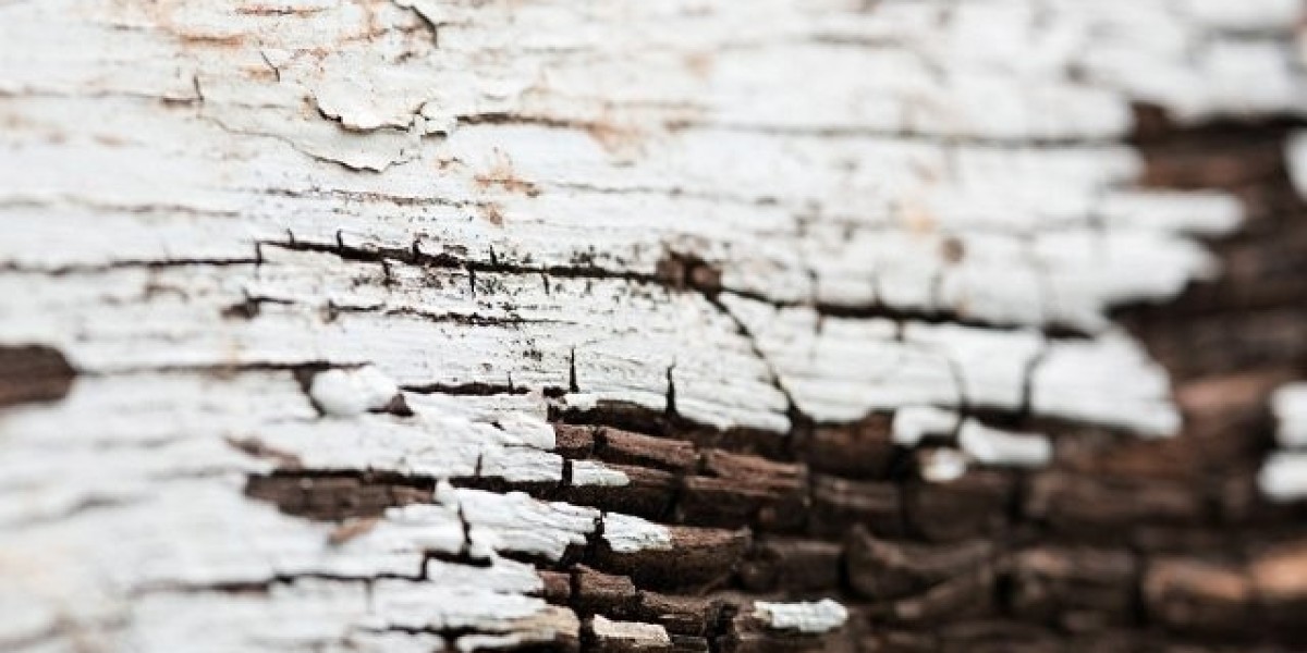 New-Casino hiring Property Consultant in Karāchi, Sindh, Pakistan LinkedIn