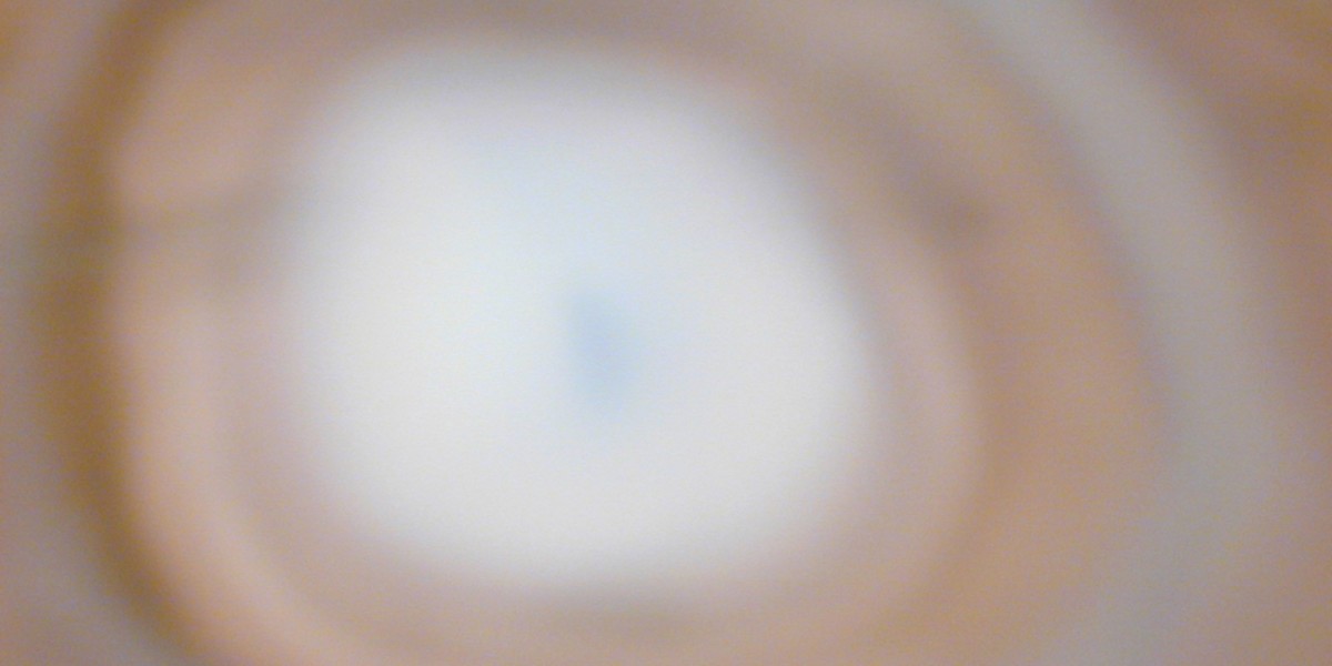 Uncategorized Archives