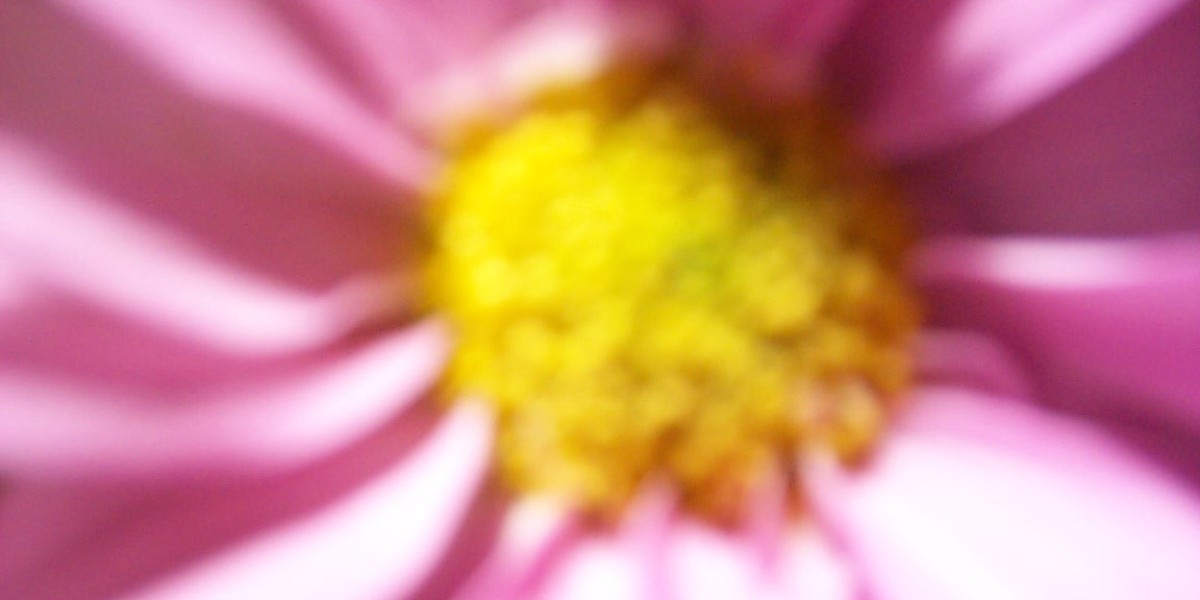 Fair Go Casino Login Access Your Bonuses & Jackpots Now