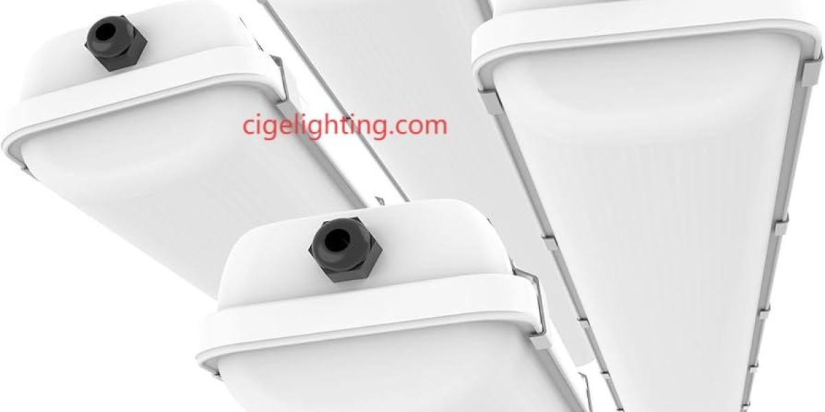 The Truth Behind Fake Triproof Lights – Why Cige’s Factory Matters