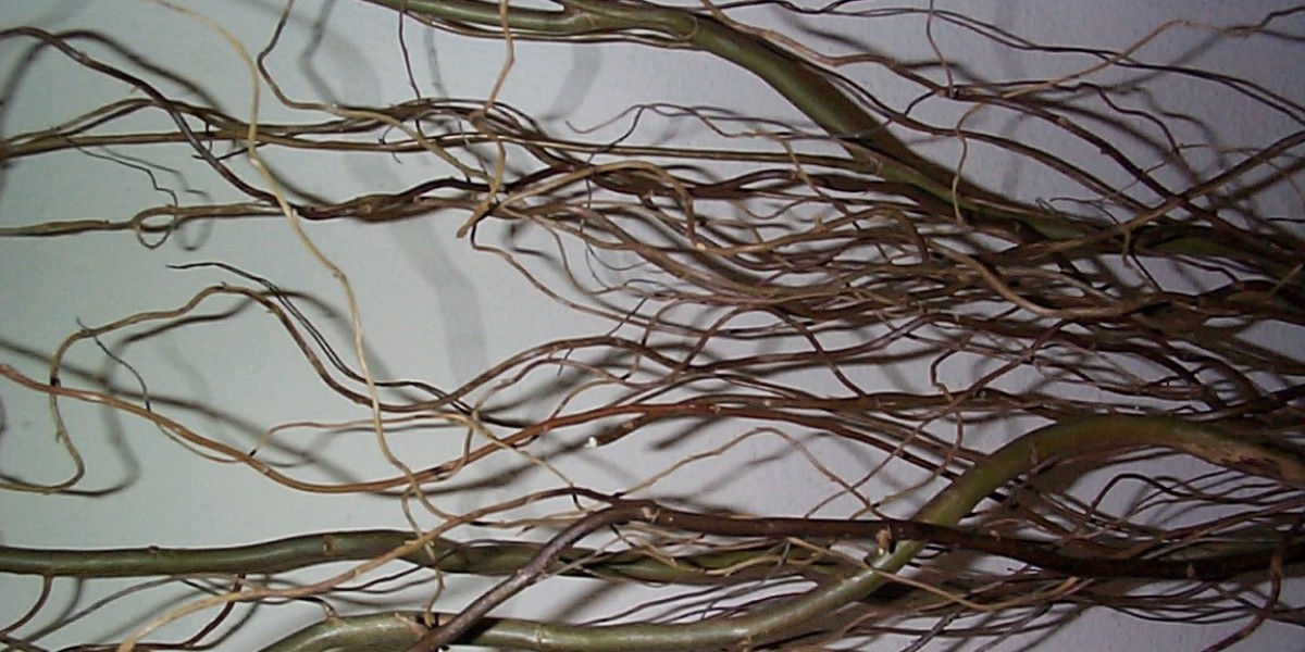 Meet the People Behind the Play