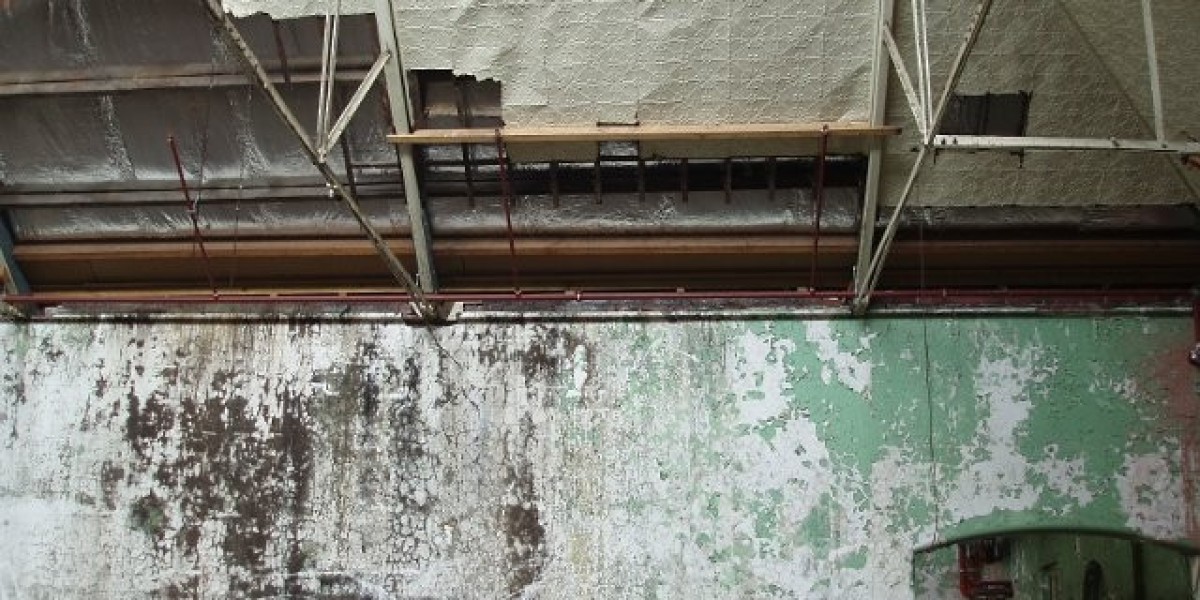 Joe Fortune: Premier Online Casino Games & Bonuses Await!