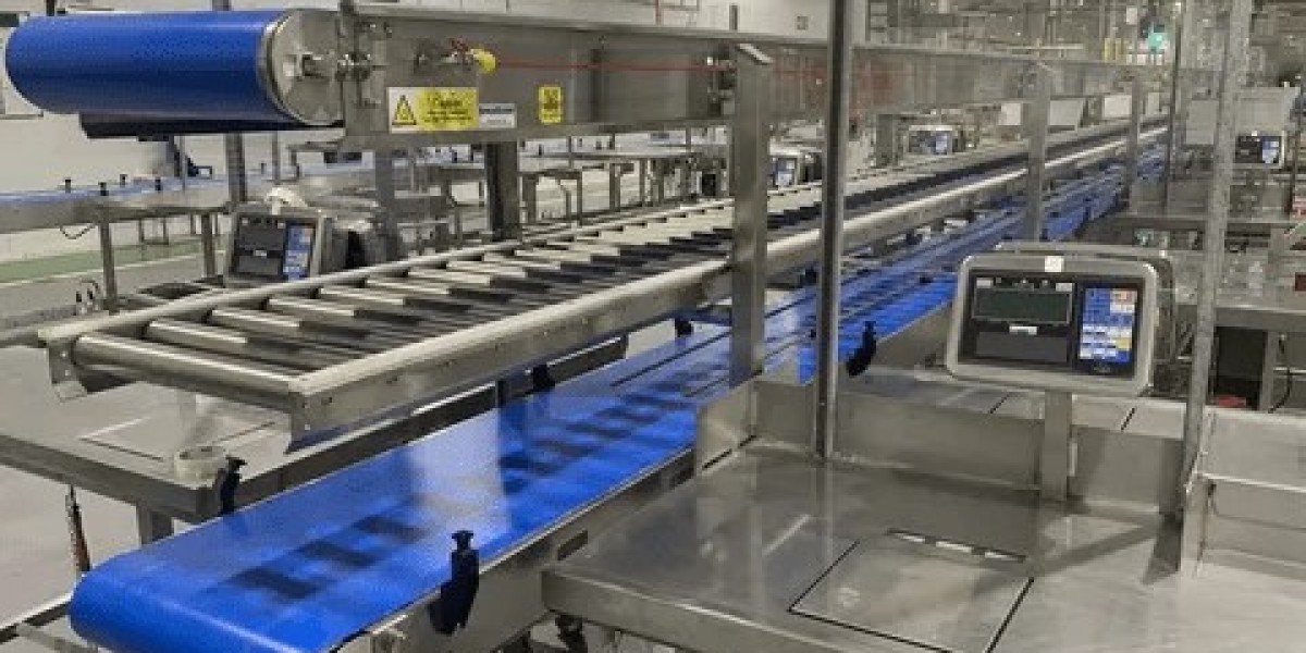 Global Pack Conveyors Market Size & Share Analysis