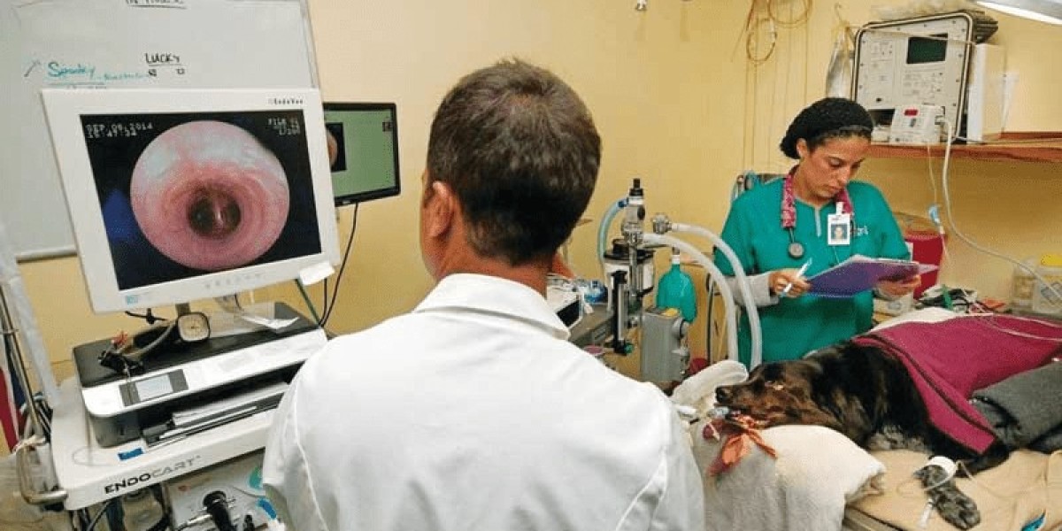 Global Veterinary Endoscopy Market Overview