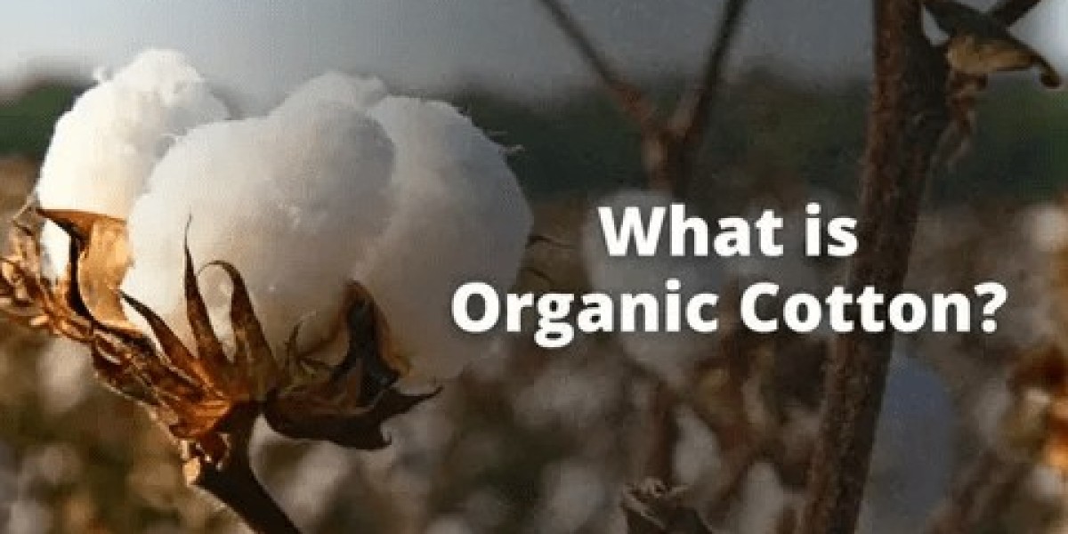 Global Organic Cotton Market Size and Forecast