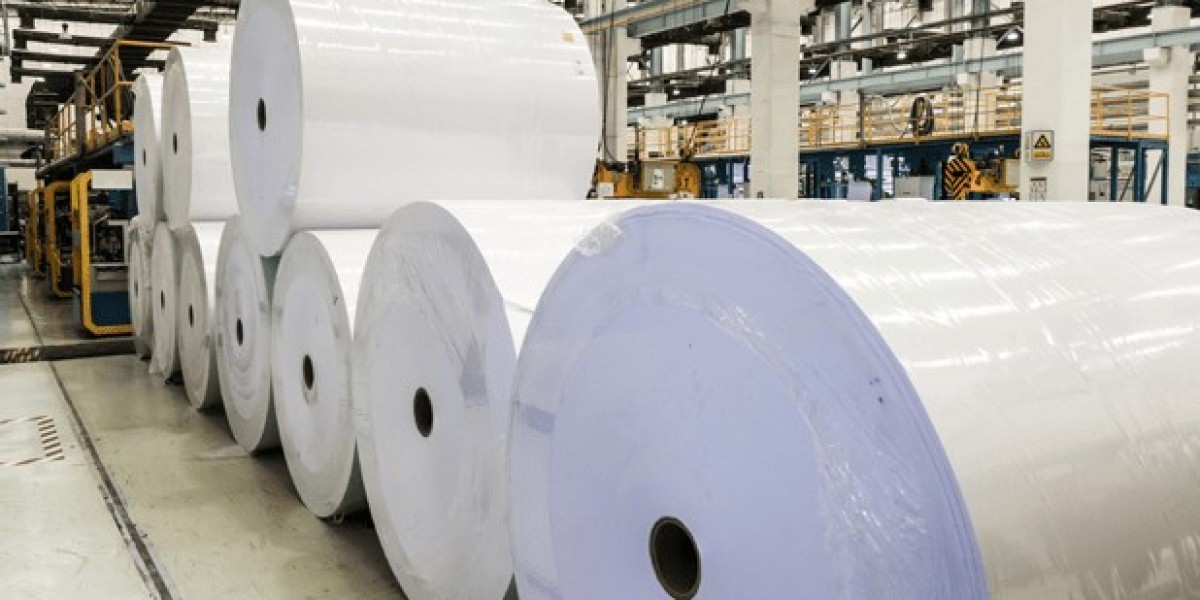 Reprographic Paper Market Size, Share & Consumption Trends