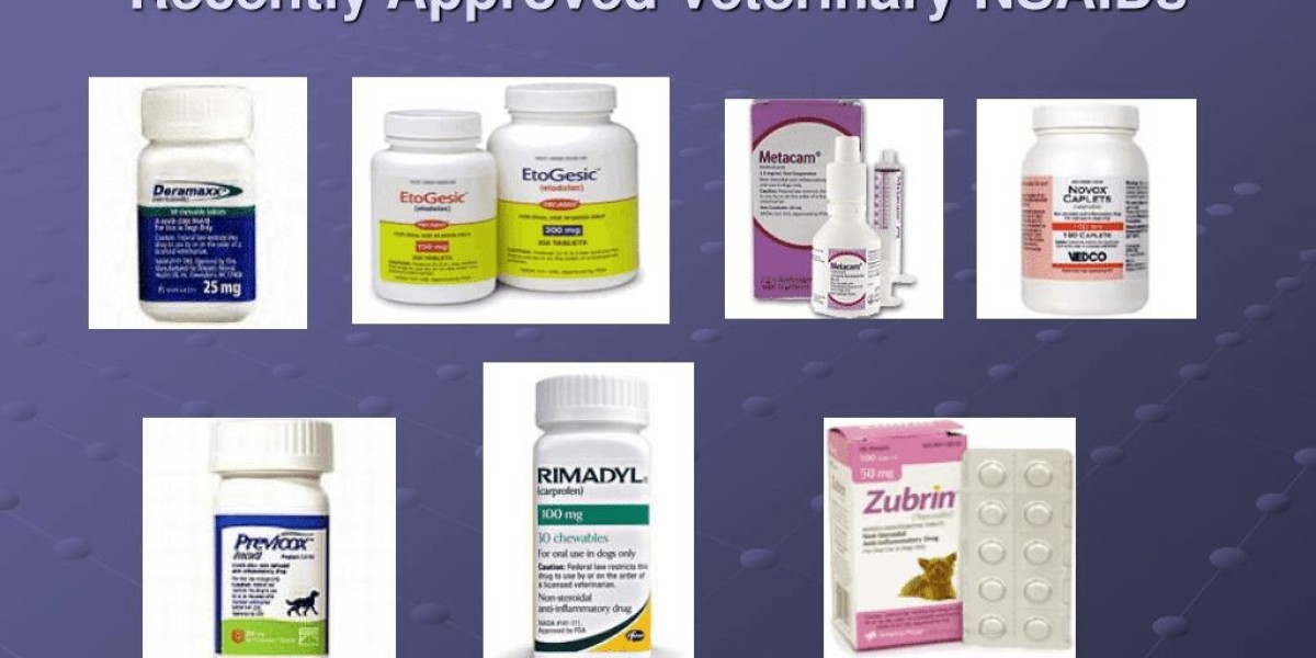 Global Veterinary Analgesics and NSAIDs Market Overview