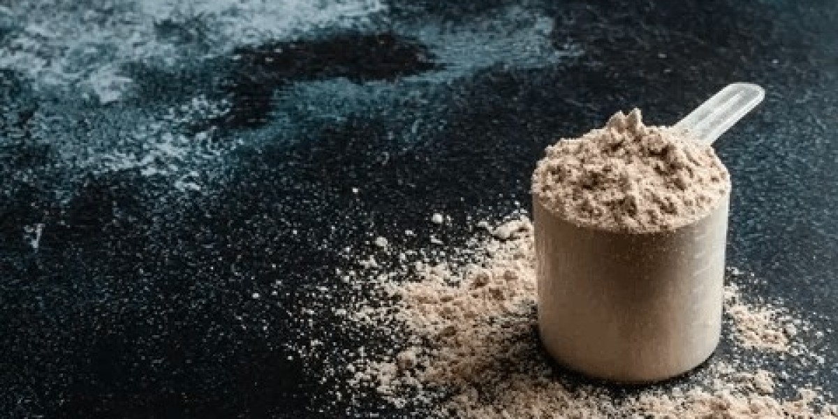 Protein Powder Market: Global Nutrition & Fitness Trends