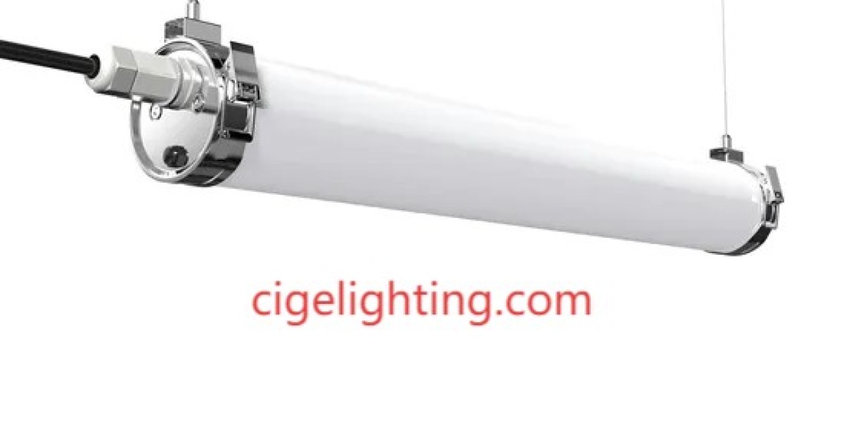 Cige Waterproof Light Manufacturer: Innovative Resilience