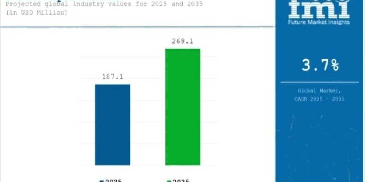 Straw Paper Market Current Scenario Trends, Comprehensive Analysis and Regional Forecast 2025 to 2035
