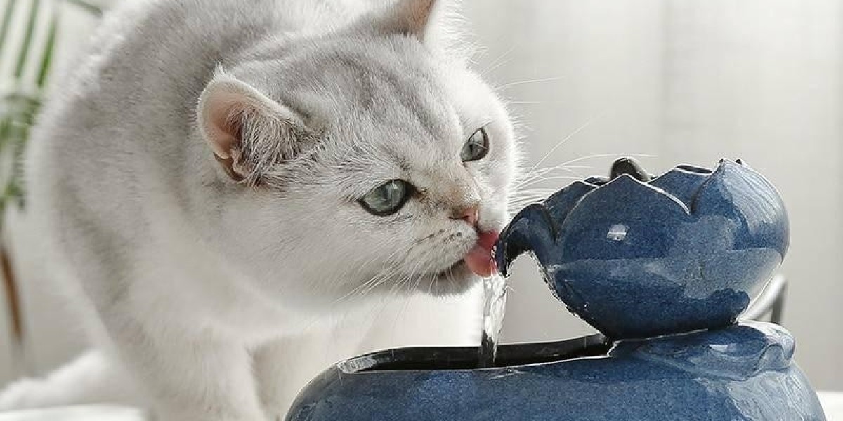 What Makes Pawtechpet Cat Water Fountain Manufacturer Unique