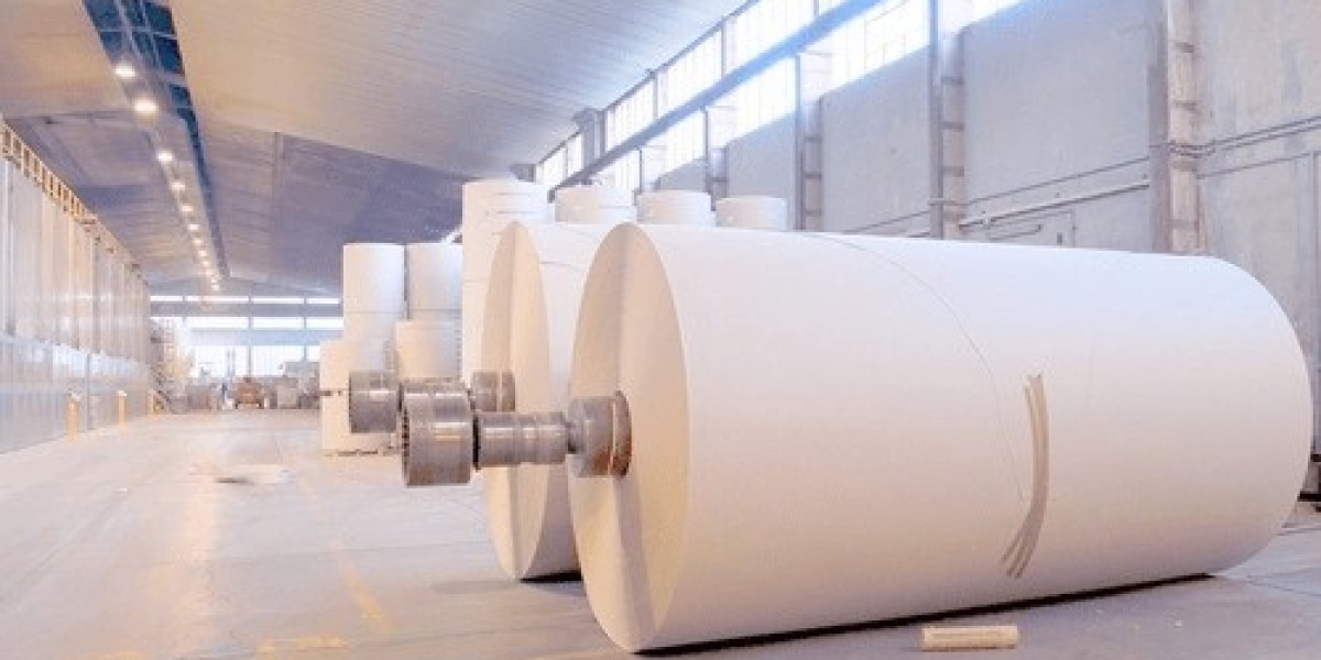 Global Paper Diagnostics Market Overview