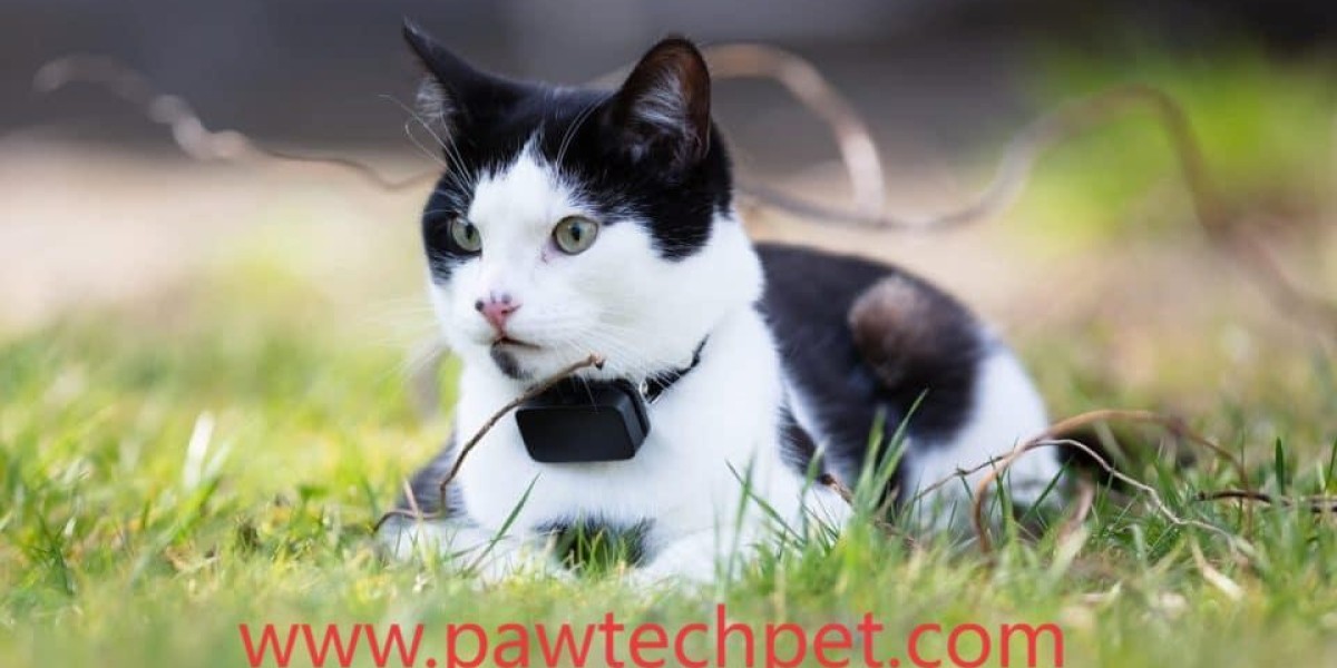 Pawtechpet Pet Tracker for Monitoring and Wellness