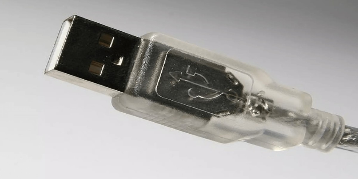 Savory Ingredients Market Size & Growth Forecast