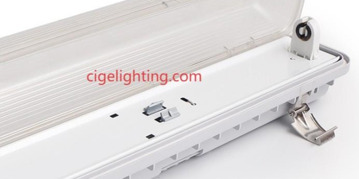 Cige: Defining Performance in Led Triproof Light Manufacturing