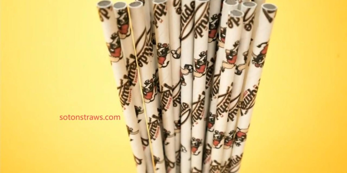 Choose Soton for Trusted Paper Straws Factory Solutions