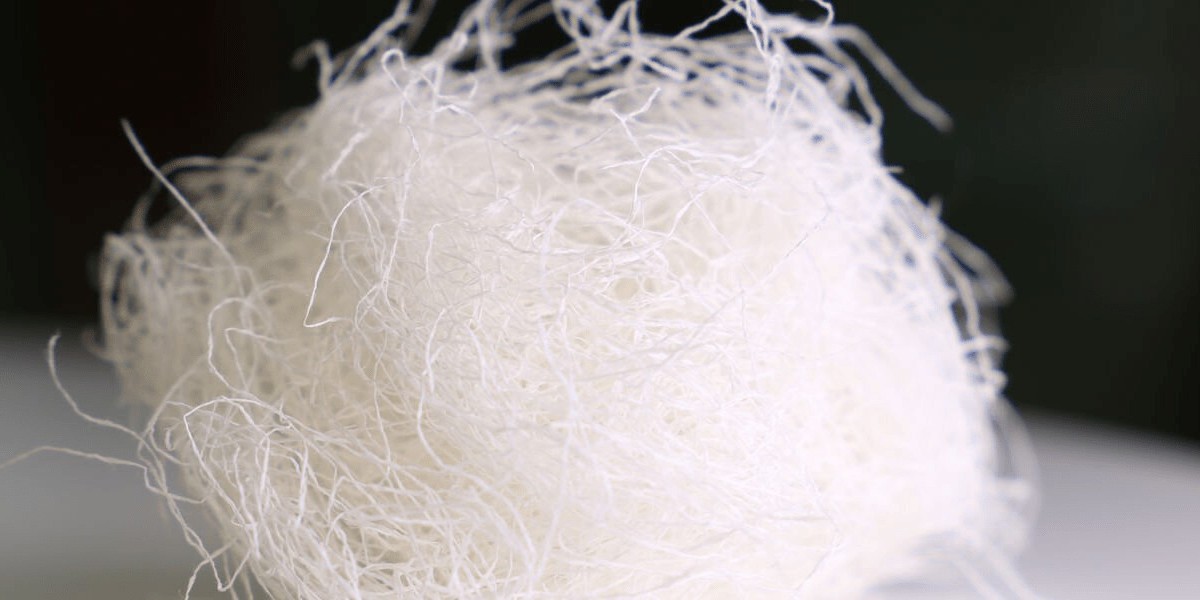 Cellulose Fibers Market Growth Fueled by Sustainable Materials