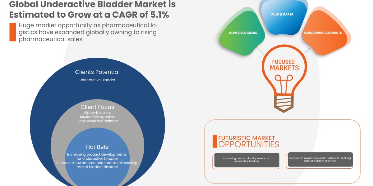 Underactive Bladder Market Growth Driven by Rising Geriatric Population