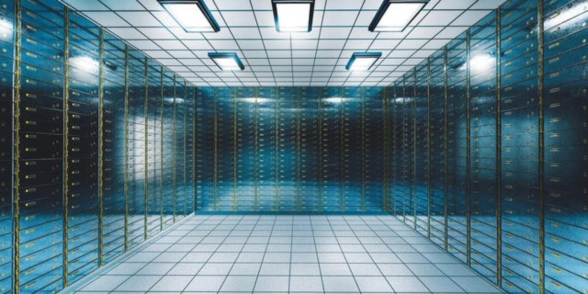 Global Digital Vault Market Overview