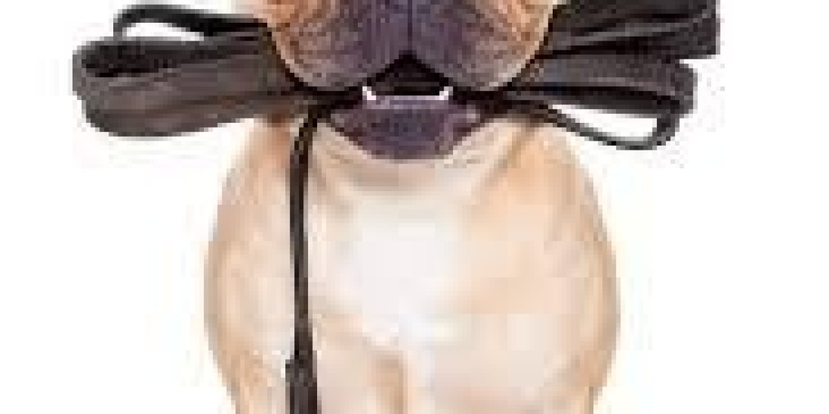 Opey Dog Leash Manufacturer Excellence Built With tallfly