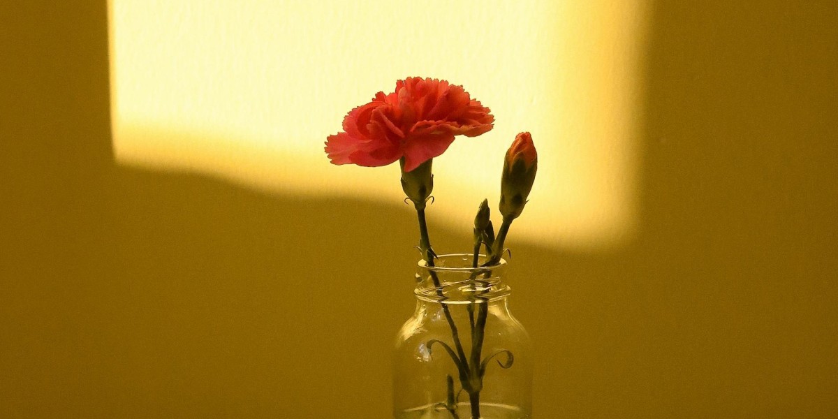 eznpc Why Your ARC Raiders Stash Keeps Filling Up Fast