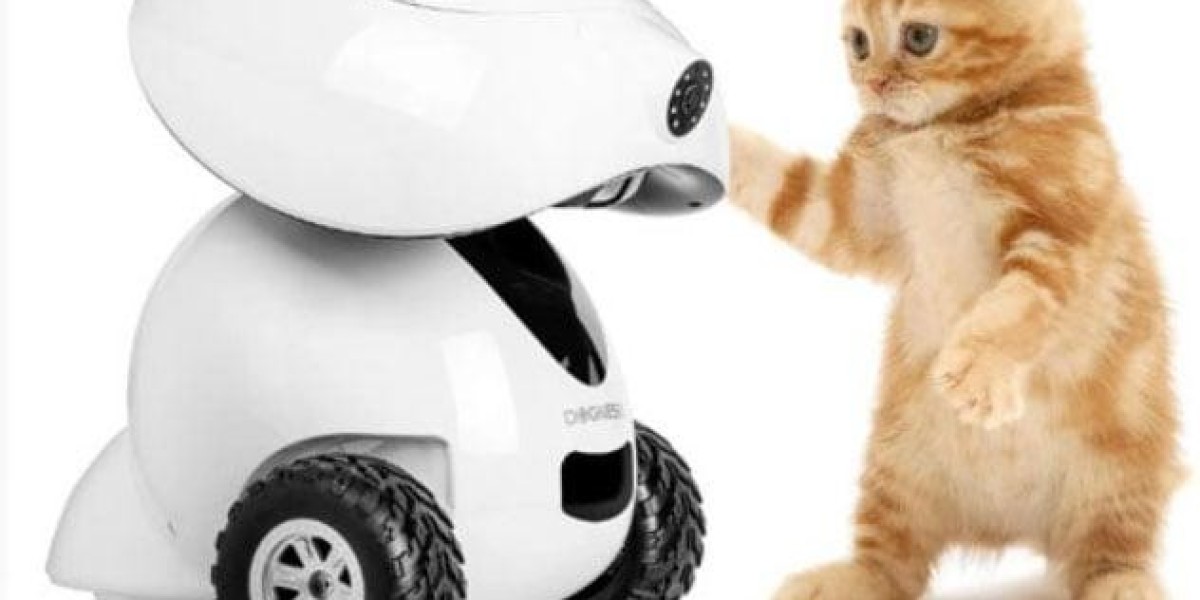 Pawtechpet Pet Smart Appliances and the Future of Pet Routines