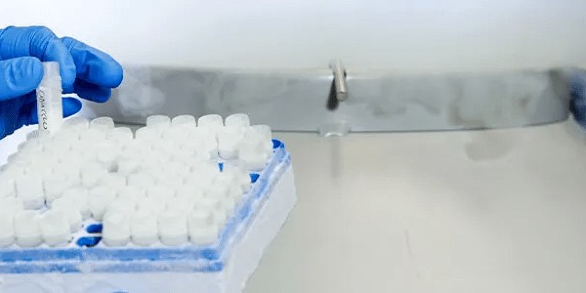 Cryopreserved Allografts Market Poised for Surgical Innovation Growth