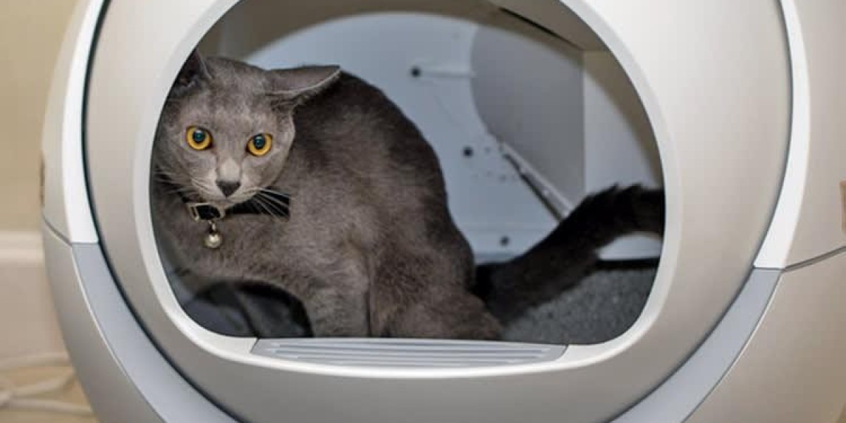 Can Pawtechpet Cat Litter Box Automatic Cleaning Reduce Daily Stress