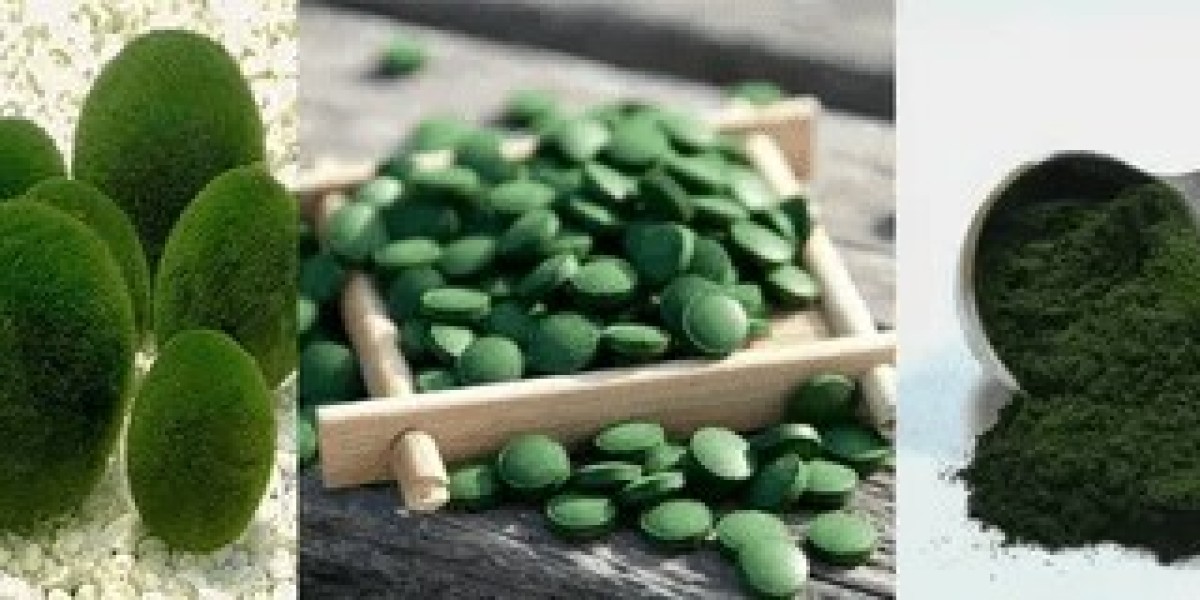 Chlorella Ingredients Market Size & Growth Forecast