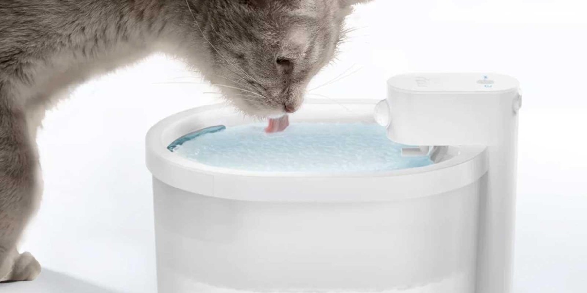 Explore Pawtechpet Intelligent Pet Water Dispenser for Lasting Comfort