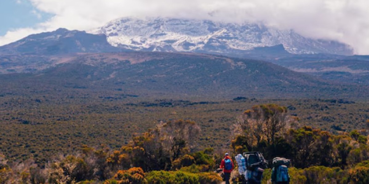 Kilimanjaro Tanzania Tours: Your Ultimate Adventure with Golden Trips Tanzania
