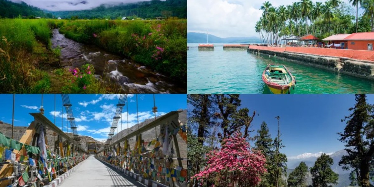 Best Zero Network Places in India for Digital Detox and Peace