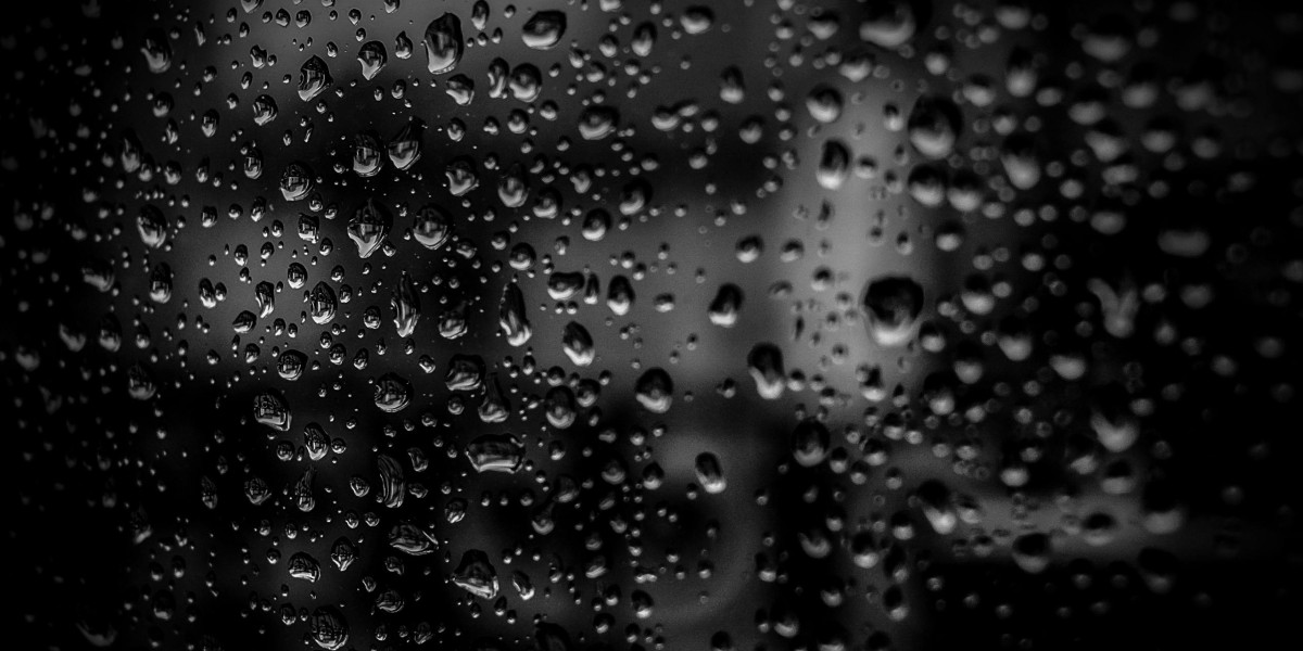 Probo App for Android: How to Download, Install, and Use the Probo APK Safely