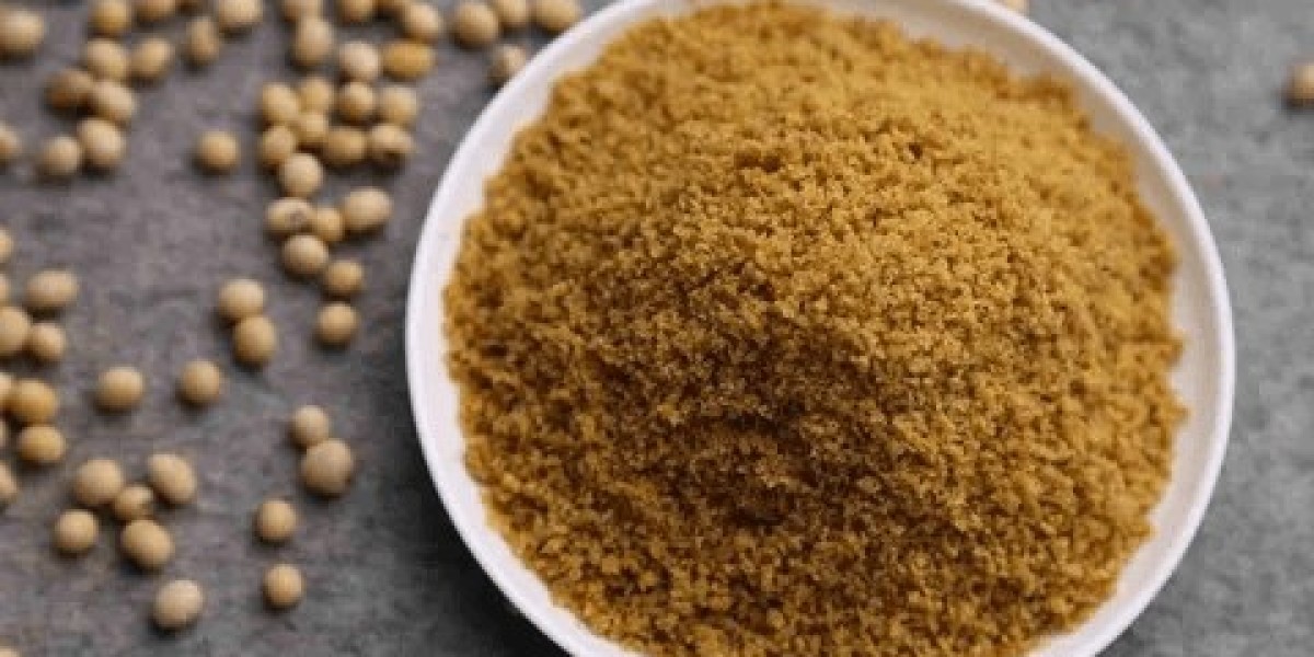 The Vegan Backbone: Why SPC Dominates Plant-Based Meat