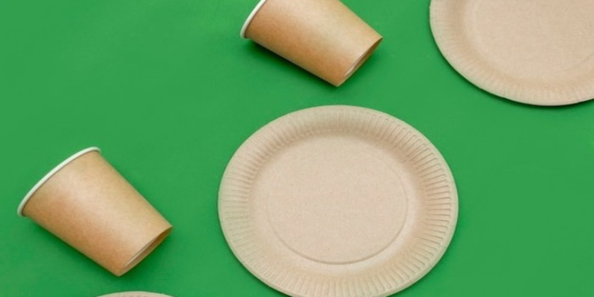 Eco-friendly Paper Plates Market 2026 Assessment and Key Insights Analyzed Till 2036