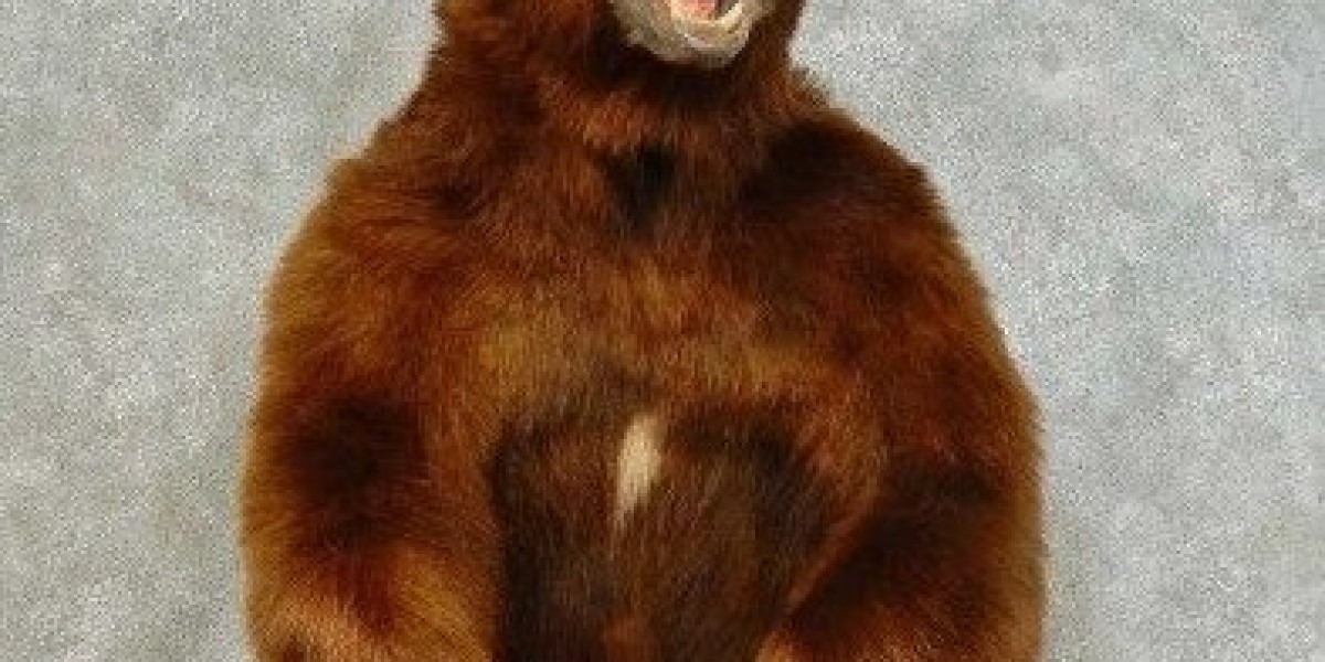 Bear Taxidermy Mounts: Preserving the Power and Presence of the Wild