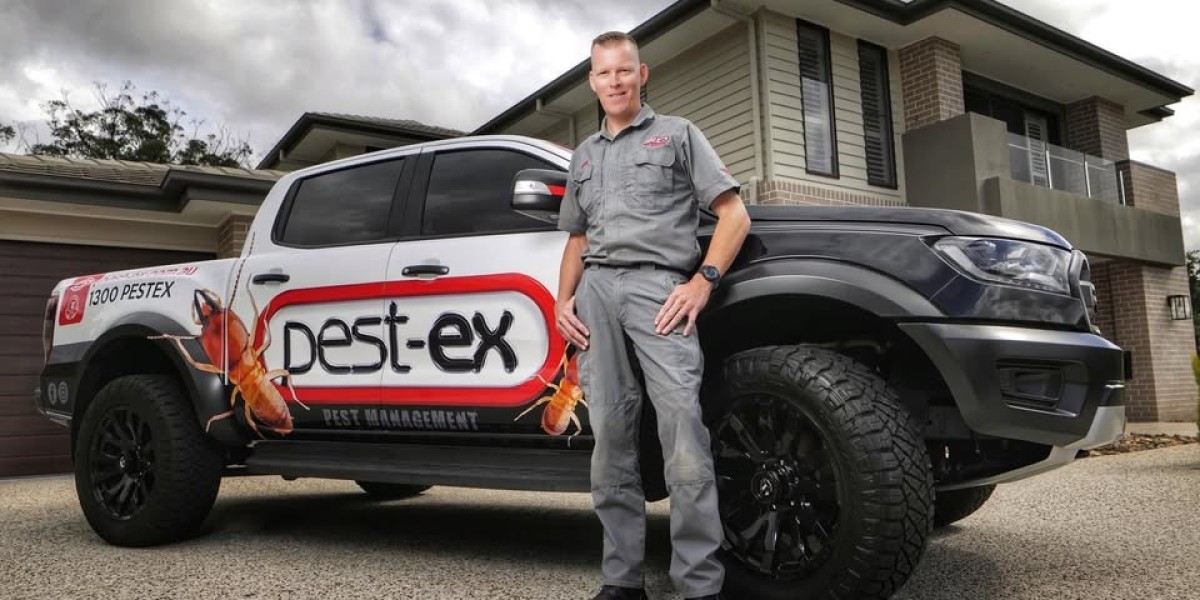 Is Year-Round Pest Control Necessary on the Gold Coast