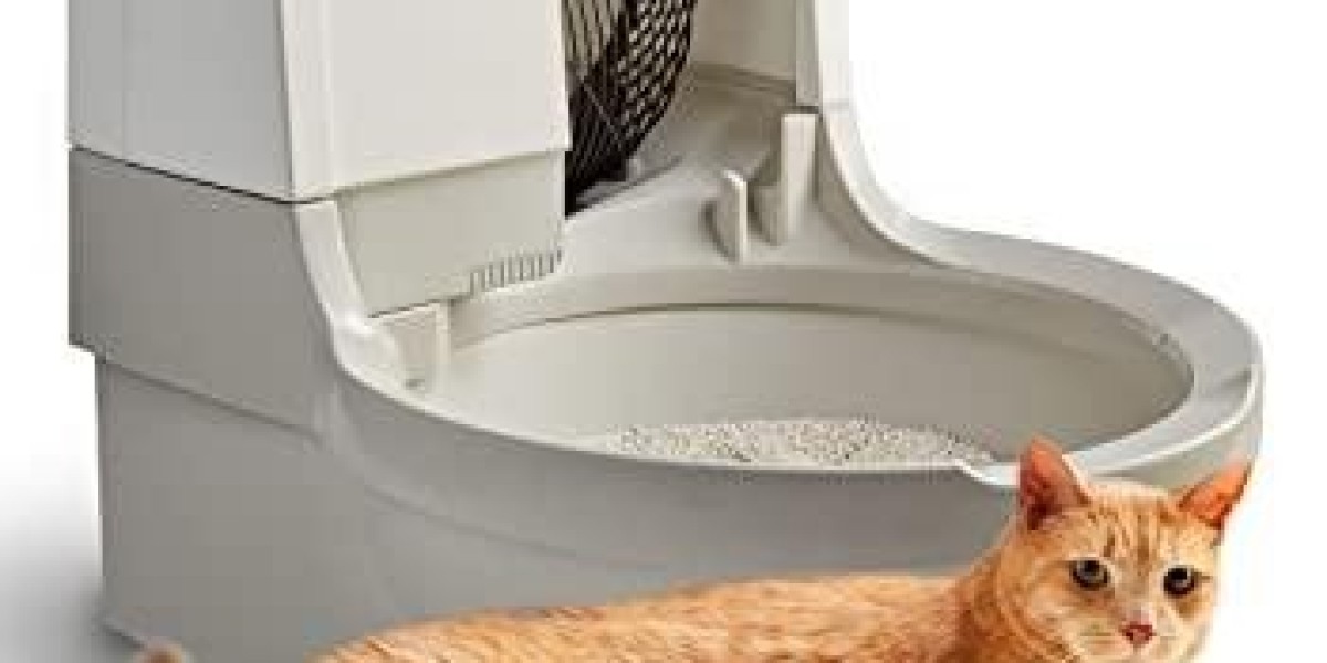 Pawtechpet Cat Litter Box Automatic Cleaning Guided by Subtle Convenience