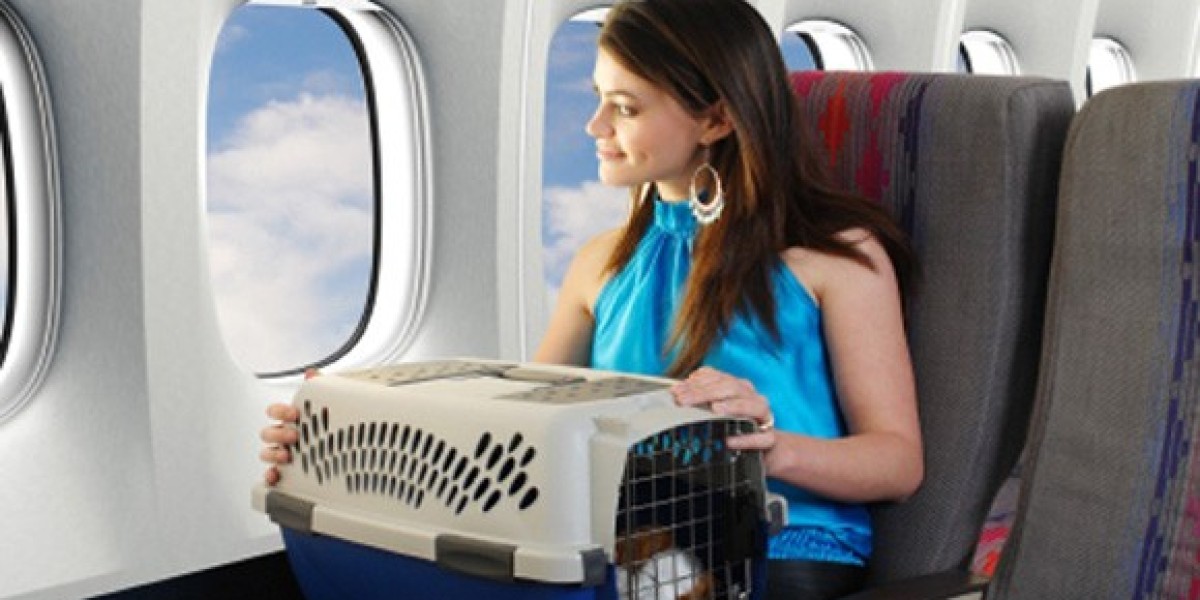 Affordable Animal Boarding Calgary for Dogs and Cats