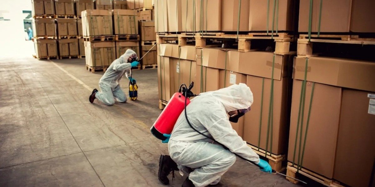 Protect Your Home Year-Round: Expert Pest Control in Augustine Heights