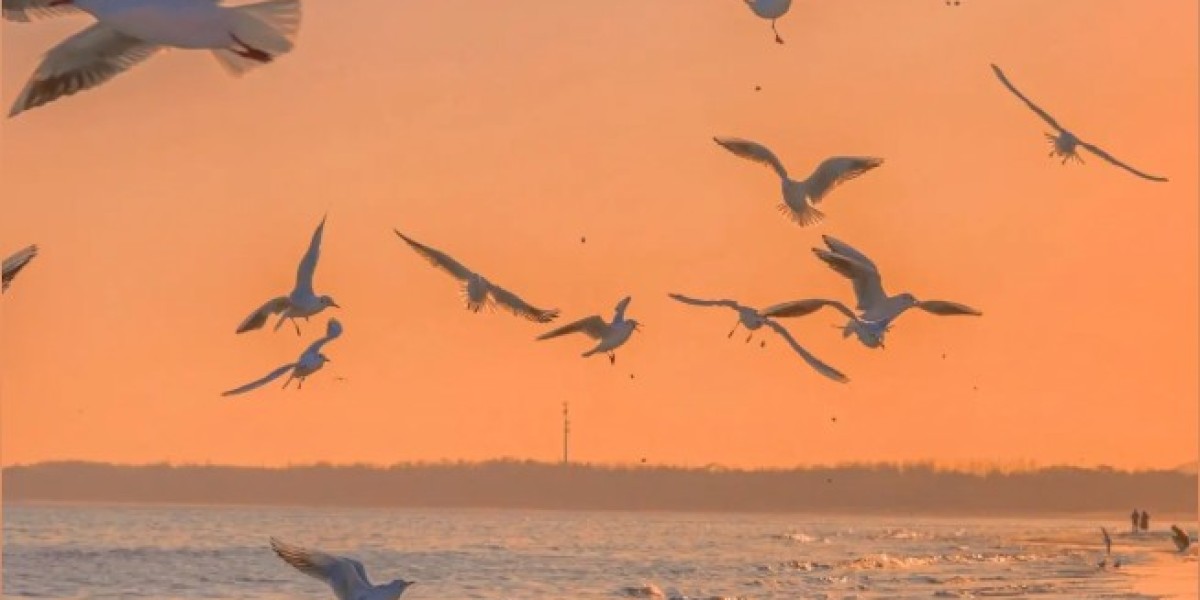 U4GM Why Bleed Bow Still Slaps in PoE 3 28 Mirage