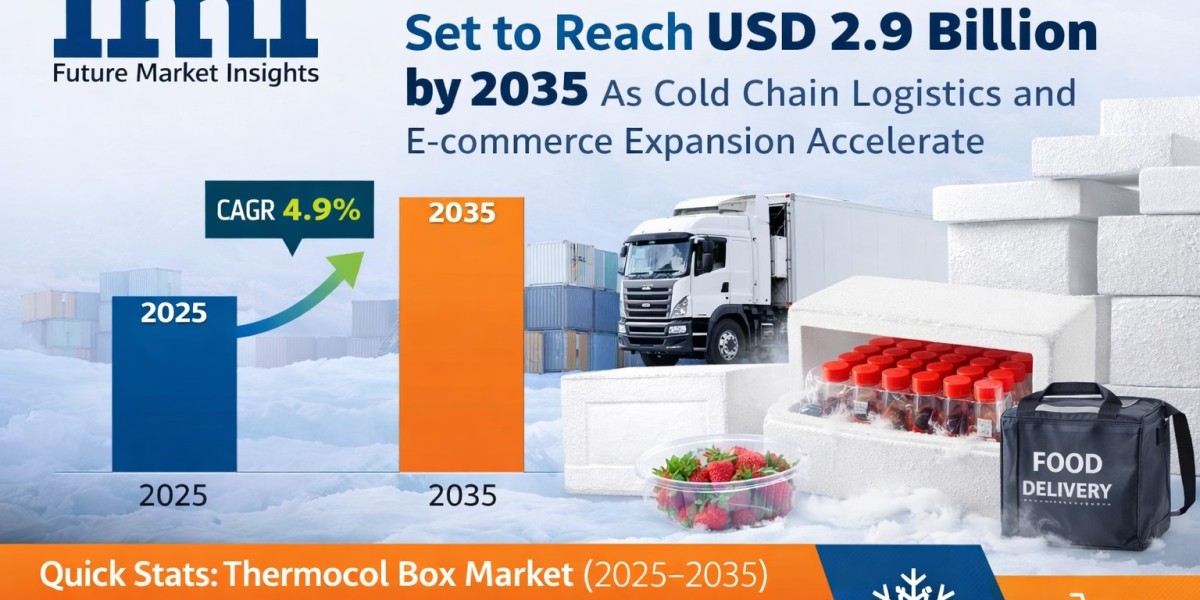 Thermocol Box Market Trends, Size & Forecast: What to Expect by 2036